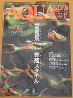 月刊アクアライフ12月号 魚種別・繁殖スタイル　定価1100円（同梱不可）